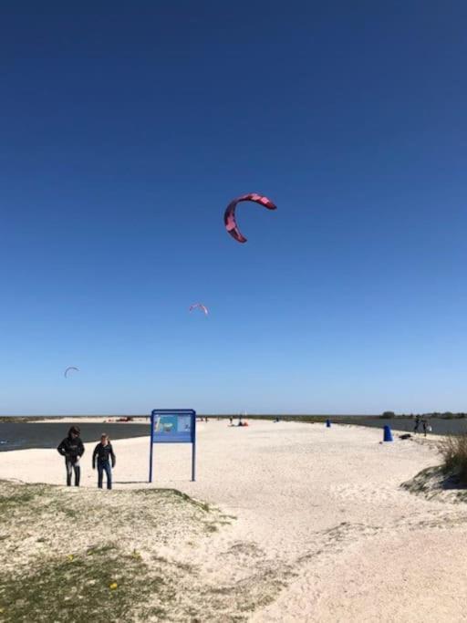 Gezellige Pipo Met Grote Schommel Aan Het Water Villa Medemblik Exterior foto