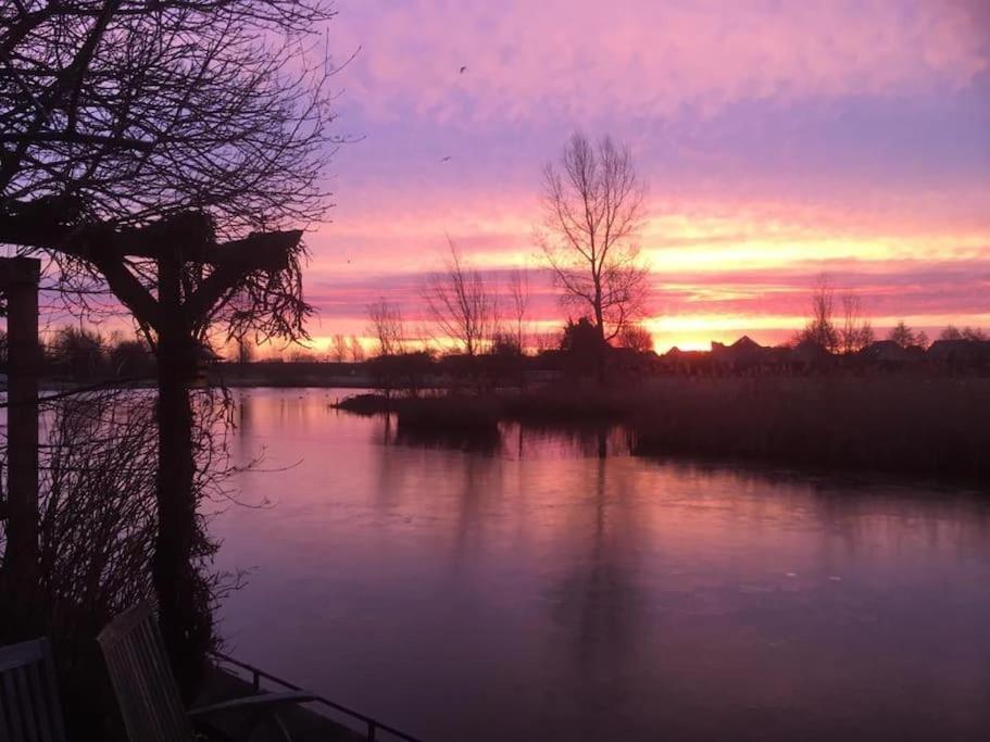 Gezellige Pipo Met Grote Schommel Aan Het Water Villa Medemblik Exterior foto