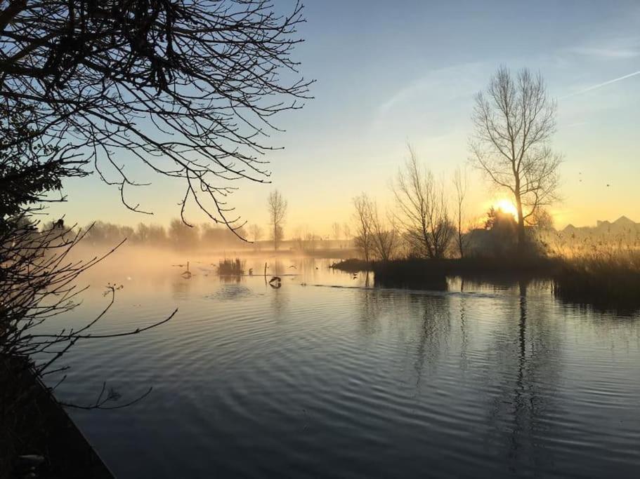 Gezellige Pipo Met Grote Schommel Aan Het Water Villa Medemblik Exterior foto