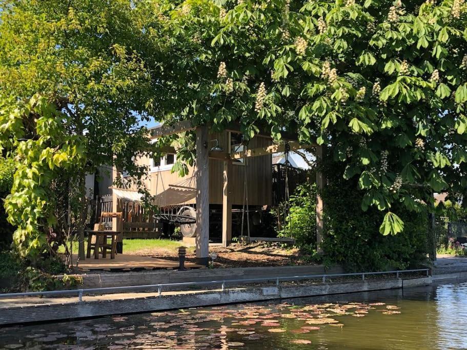 Gezellige Pipo Met Grote Schommel Aan Het Water Villa Medemblik Exterior foto